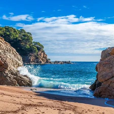 Tarongeta * Palafrugell