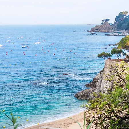 Tarongeta Palafrugell