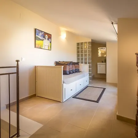 Tarongeta Palafrugell