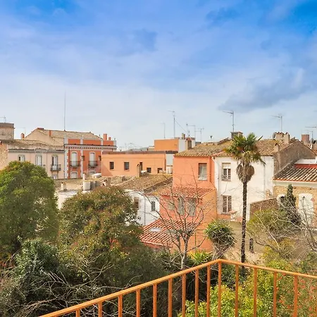 Tarongeta Palafrugell