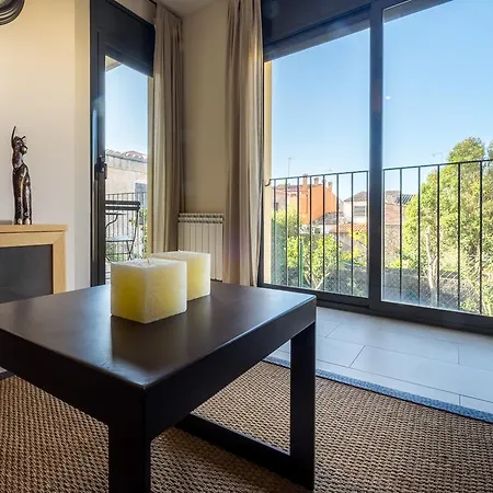 Tarongeta * Palafrugell
