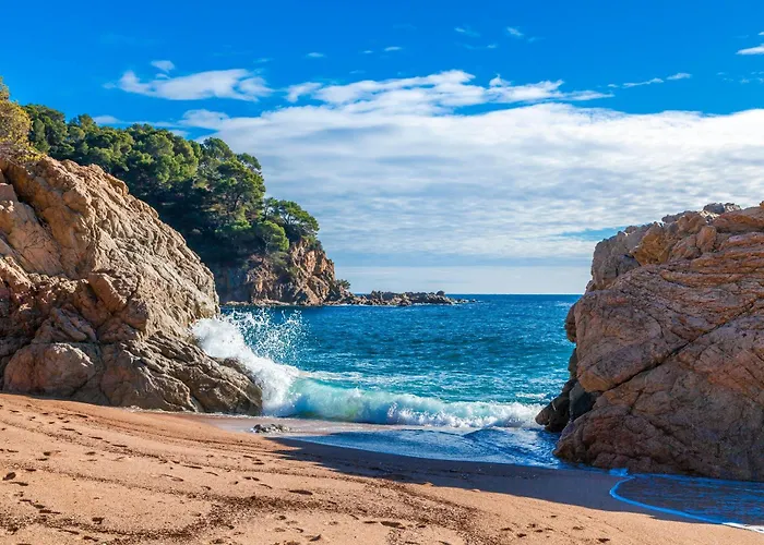 Tarongeta * Palafrugell