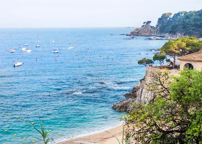 Tarongeta Palafrugell