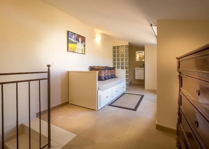 Tarongeta Palafrugell